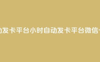 微信卡盟24小时自动发卡平台 - 24小时自动发卡平台—微信卡盟升级版!