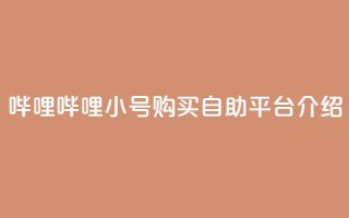 哔哩哔哩小号购买自助平台介绍