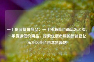一手货源低价商品,一手货源低价商品怎么卖,一手货源低价商品,探索优质市场的新途径亿乐社区低价自营货源站