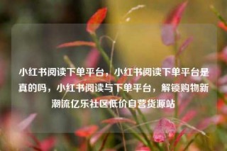 小红书阅读下单平台,小红书阅读下单平台是真的吗,小红书阅读与下单平台,解锁购物新潮流亿乐社区低价自营货源站