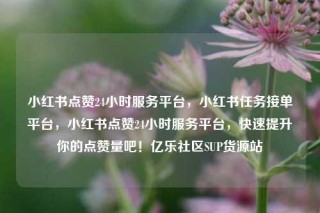 小红书点赞24小时服务平台,小红书任务接单平台,小红书点赞24小时服务平台,快速提升你的点赞量吧!亿乐社区SUP货源站