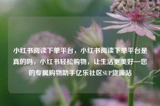 小红书阅读下单平台,小红书阅读下单平台是真的吗,小红书轻松购物,让生活更美好—您的专属购物助手亿乐社区SUP货源站