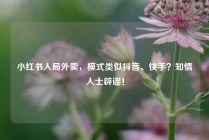 小红书入局外卖，模式类似抖音、快手？知情人士辟谣！