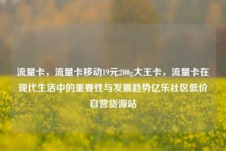流量卡,流量卡移动19元200g大王卡,流量卡在现代生活中的重要性与发展趋势亿乐社区低价自营货源站