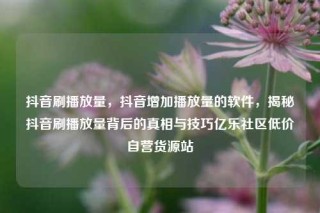 抖音刷播放量,抖音增加播放量的软件,揭秘抖音刷播放量背后的真相与技巧亿乐社区低价自营货源站