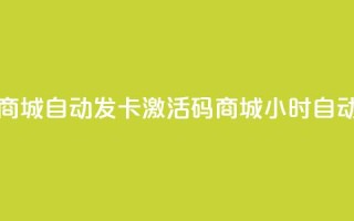 24小时激活码商城自动发卡(激活码商城24小时自动发卡)