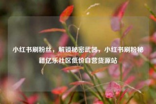 小红书刷粉丝,解锁秘密武器,小红书刷粉秘籍亿乐社区低价自营货源站