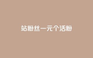 b站粉丝一元1000个活粉 - 如何在B站获得1000个活跃粉丝,仅需1元~