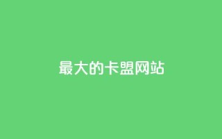 最大的卡盟网站 - 顶尖卡盟平台排行榜与推荐指南!