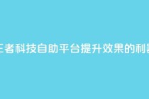 王者科技自助平台:提升SEO效果的利器