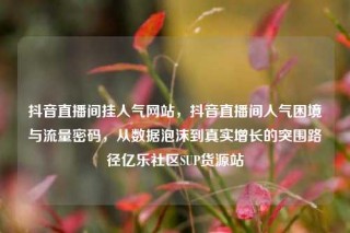 抖音直播间挂人气网站,抖音直播间人气困境与流量密码,从数据泡沫到真实增长的突围路径亿乐社区SUP货源站