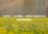 生命至上，全力救援——贵州大方县果瓦乡山体滑坡现场直击