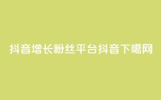 抖音增长粉丝平台 - 抖音16802858