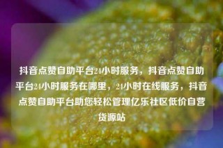 抖音点赞自助平台24小时服务,抖音点赞自助平台24小时服务在哪里,24小时在线服务,抖音点赞自助平台助您轻松管理亿乐社区低价自营货源站
