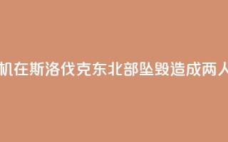 一架小型飞机在斯洛伐克东北部坠毁 造成两人受伤
