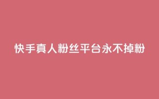 快手真人粉丝平台 永不掉粉 - 快手粉丝平台,绝对稳定永不流失!
