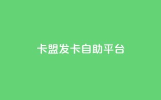 卡盟发卡自助平台 - 卡盟发卡平台自助服务:专属你的卡盟体验!