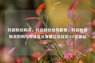 抖音粉丝购买,抖音粉丝业务套餐,抖音粉丝购买的利与弊及优化策略亿乐社区SUP货源站