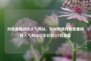 抖音直播间挂人气网站,如何利用抖音直播间挂人气网站亿乐社区SUP货源站
