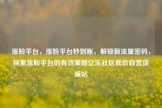 涨粉平台,涨粉平台秒到账,解锁新流量密码,探索涨粉平台的有效策略亿乐社区低价自营货源站