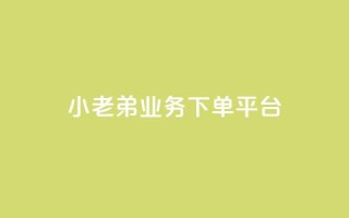 小老弟业务下单平台 - 小老弟业务一键下单平台全新上线!
