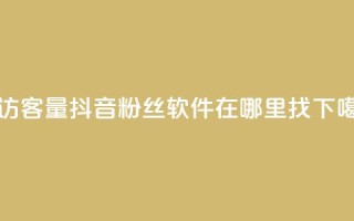 刷访客量QQ - 抖音粉丝软件在哪里找