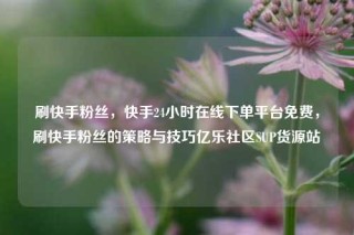 刷快手粉丝,快手24小时在线下单平台免费,刷快手粉丝的策略与技巧亿乐社区SUP货源站