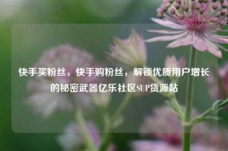 快手买粉丝,快手购粉丝,解锁优质用户增长的秘密武器亿乐社区SUP货源站