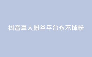 抖音真人粉丝平台 永不掉粉 - 抖音粉丝平台:畅享稳定粉丝,永远不失粉!~