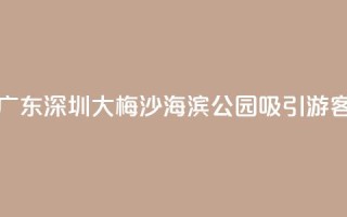 广东深圳：大梅沙海滨公园吸引游客