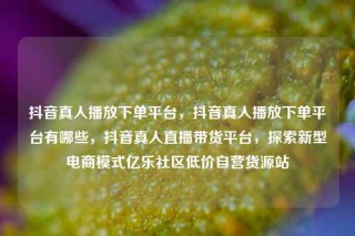 抖音真人播放下单平台,抖音真人播放下单平台有哪些,抖音真人直播带货平台,探索新型电商模式亿乐社区低价自营货源站