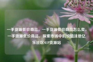 一手货源低价商品,一手货源低价商品怎么卖,一手货源低价商品,探索市场中的价值洼地亿乐社区SUP货源站