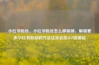 小红书粉丝,小红书粉丝怎么移除掉,解锁更多小红书粉丝的方法亿乐社区SUP货源站