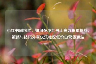 小红书刷粉丝,如何在小红书上高效积累粉丝,策略与技巧分享亿乐社区低价自营货源站