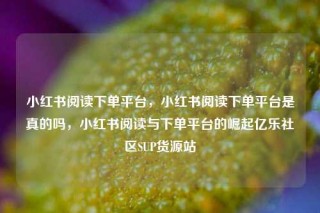 小红书阅读下单平台,小红书阅读下单平台是真的吗,小红书阅读与下单平台的崛起亿乐社区SUP货源站