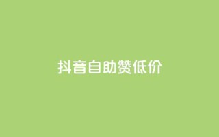 抖音自助赞低价,qq空间点赞服务 - qq24小时自助下单全网最低价 - 快手引流软件全自动免费
