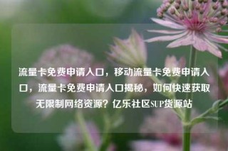 流量卡免费申请入口，移动流量卡免费申请入口，流量卡免费申请入口揭秘，如何快速获取无限制网络资源？亿乐社区SUP货源站