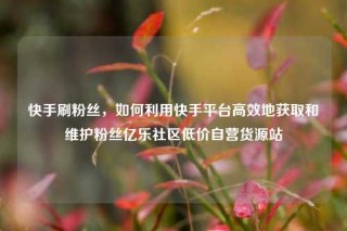 快手刷粉丝,如何利用快手平台高效地获取和维护粉丝亿乐社区低价自营货源站