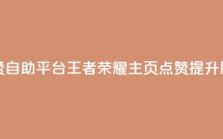 王者荣耀主页赞自助平台 - 王者荣耀主页点赞提升服务专区!