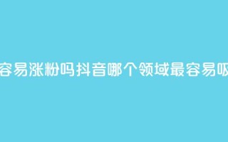 抖音做什么赛道最容易涨粉吗 - 抖音哪个领域最容易吸引粉丝增长。