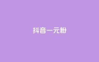 抖音一元1000粉 - 获取抖音1000粉丝仅需一元!