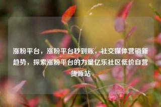 涨粉平台,涨粉平台秒到账,社交媒体营销新趋势,探索涨粉平台的力量亿乐社区低价自营货源站
