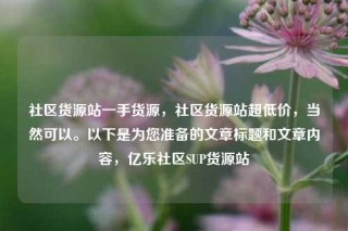 社区货源站一手货源,社区货源站超低价,当然可以。以下是为您准备的文章标题和文章内容,亿乐社区SUP货源站