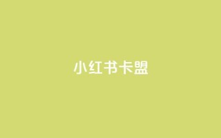 小红书卡盟 - 小红书卡盟:深入解析这一社交电商平台的隐藏商机~