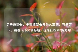 免费流量卡,免费流量卡是什么套路,当然可以,请看以下文章标题,亿乐社区SUP货源站
