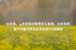 QQ会员,qq会员自动续费怎么取消,QQ会员的魅力与魅力所在亿乐社区SUP货源站