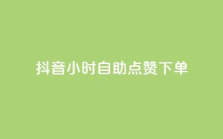 抖音24小时自助点赞下单 - 抖音24小时快速自助点赞服务,轻松点亮你的视频~