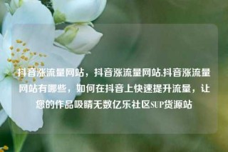 抖音涨流量网站,抖音涨流量网站,抖音涨流量网站有哪些,如何在抖音上快速提升流量,让您的作品吸睛无数亿乐社区SUP货源站