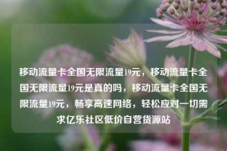 移动流量卡全国无限流量19元,移动流量卡全国无限流量19元是真的吗,移动流量卡全国无限流量19元,畅享高速网络,轻松应对一切需求亿乐社区低价自营货源站