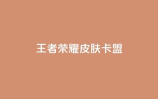 王者荣耀皮肤卡盟 - 王者荣耀皮肤卡盟,让你畅享丰富多彩的英雄皮肤世界~